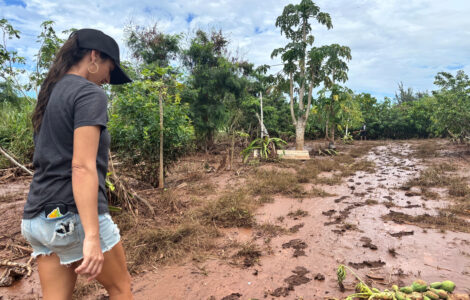Neglected North Shore Plantation Waterways Fueled Damaging Hawaii Floods